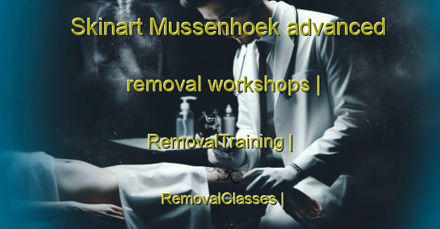 Skinart Mussenhoek advanced removal workshops | RemovalTraining | RemovalClasses | SkinartTraining-Belgium